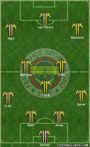 Fenerbahçe SK Formation 2015