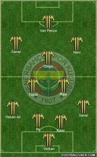 Fenerbahçe SK Formation 2015
