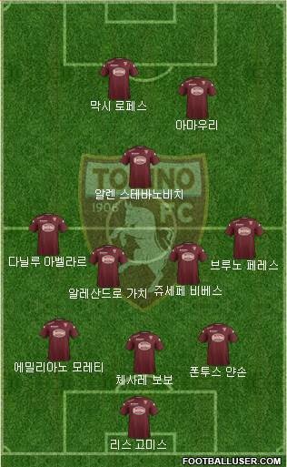 Torino Formation 2015