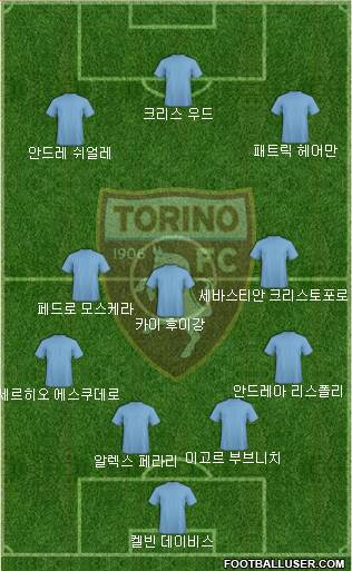 Torino Formation 2015