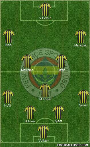 Fenerbahçe SK Formation 2015