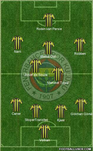 Fenerbahçe SK Formation 2015