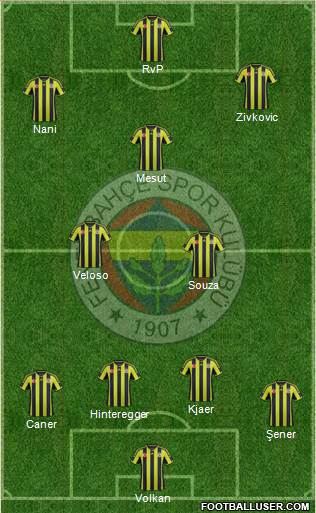 Fenerbahçe SK Formation 2015