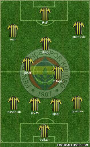 Fenerbahçe SK Formation 2015