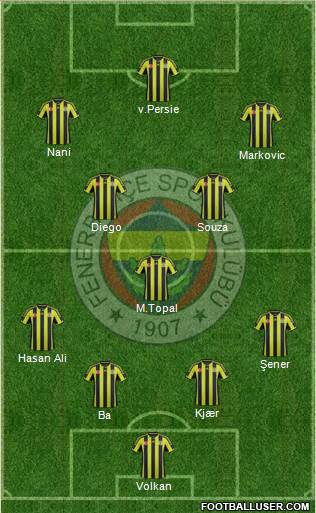 Fenerbahçe SK Formation 2015