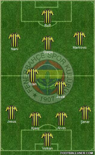Fenerbahçe SK Formation 2015