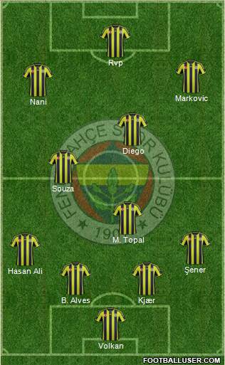 Fenerbahçe SK Formation 2015