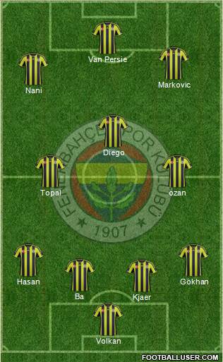 Fenerbahçe SK Formation 2015