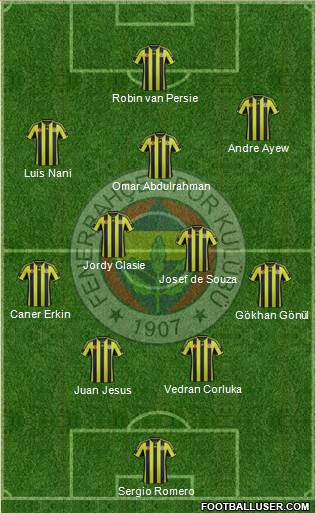 Fenerbahçe SK Formation 2015