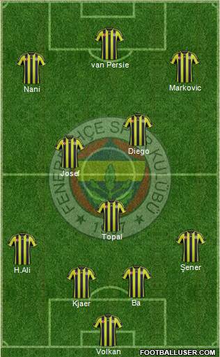 Fenerbahçe SK Formation 2015