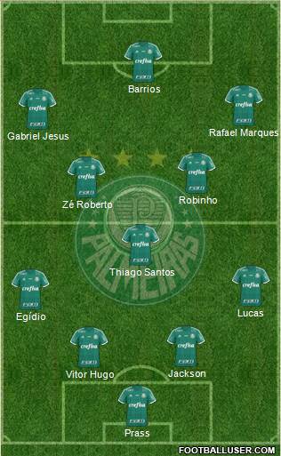 SE Palmeiras Formation 2015