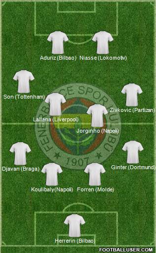 Fenerbahçe SK Formation 2015