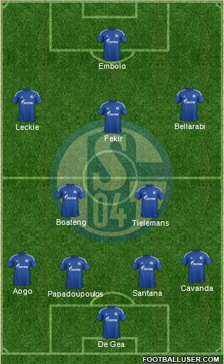 FC Schalke 04 Formation 2015