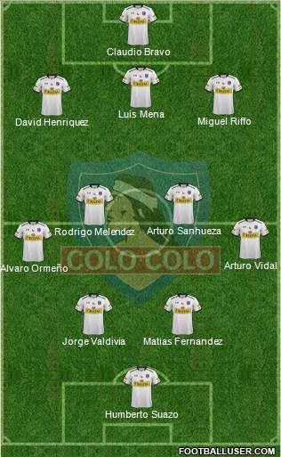 CSD Colo Colo Formation 2015