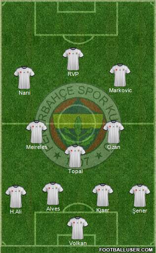 Fenerbahçe SK Formation 2015