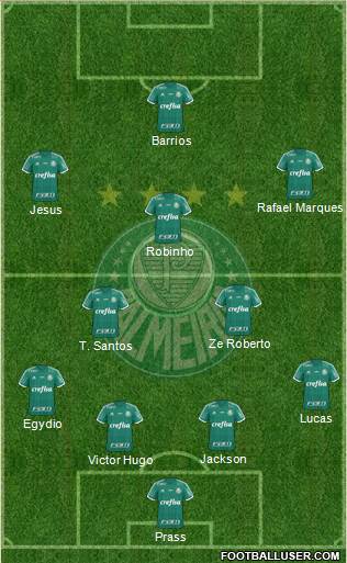 SE Palmeiras Formation 2015