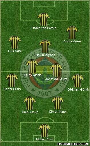 Fenerbahçe SK Formation 2015