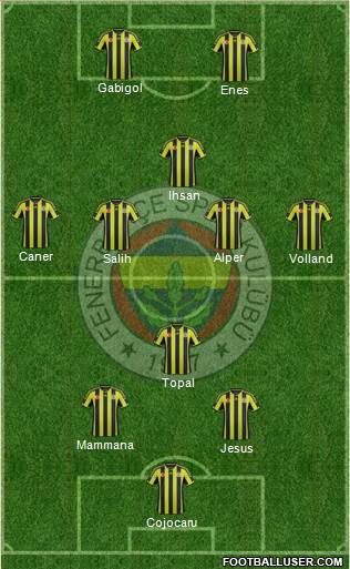 Fenerbahçe SK Formation 2015