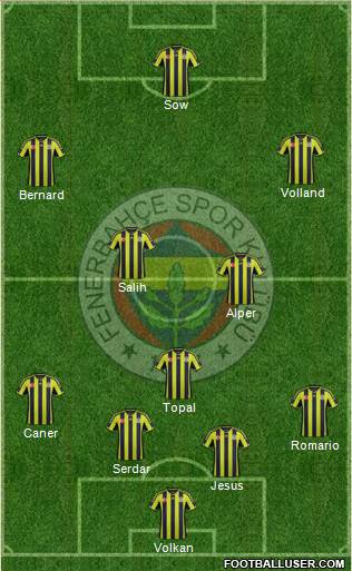 Fenerbahçe SK Formation 2015