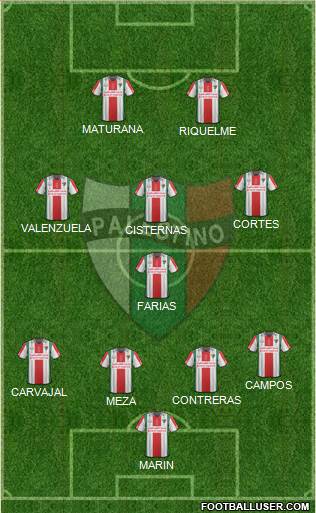 CD Palestino S.A.D.P. Formation 2015
