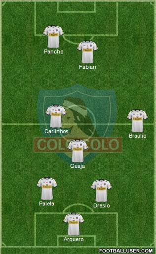 CSD Colo Colo Formation 2015