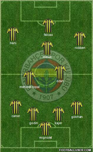 Fenerbahçe SK Formation 2015