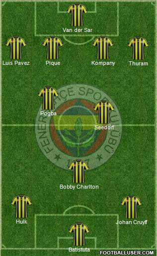 Fenerbahçe SK Formation 2015