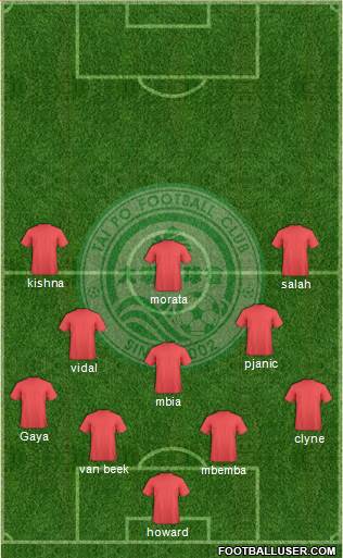 Tai Po Football Club Formation 2015