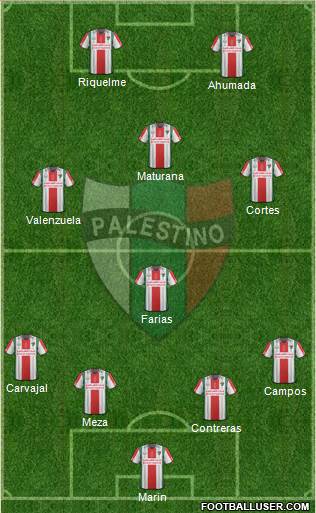 CD Palestino S.A.D.P. Formation 2015