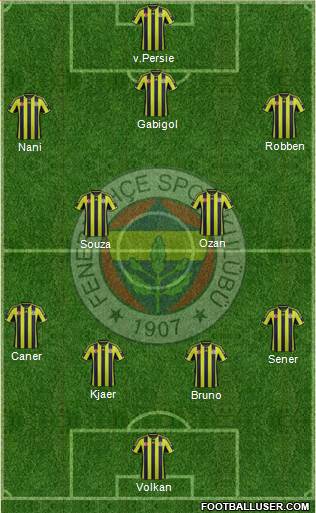Fenerbahçe SK Formation 2015