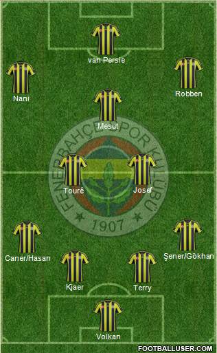 Fenerbahçe SK Formation 2015