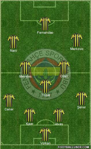 Fenerbahçe SK Formation 2015