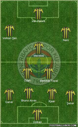 Fenerbahçe SK Formation 2015