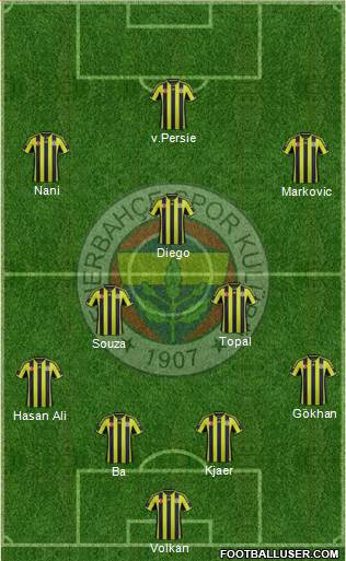 Fenerbahçe SK Formation 2015