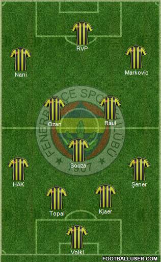 Fenerbahçe SK Formation 2015
