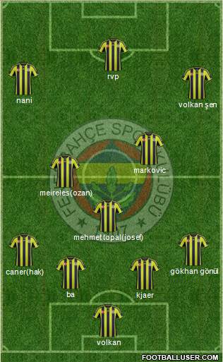 Fenerbahçe SK Formation 2015