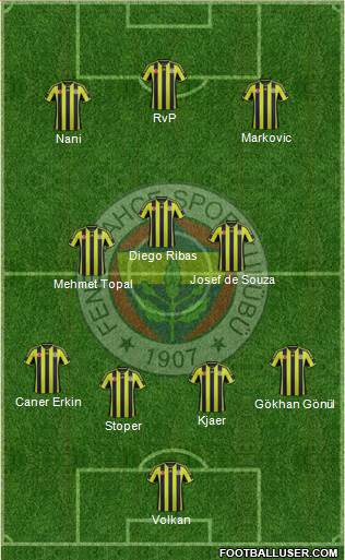 Fenerbahçe SK Formation 2015