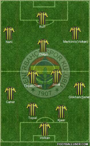 Fenerbahçe SK Formation 2015