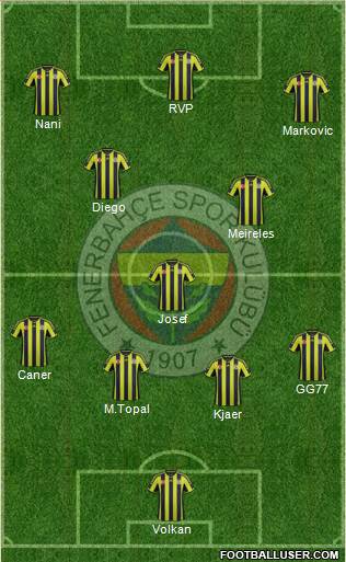 Fenerbahçe SK Formation 2015