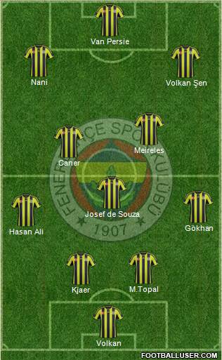 Fenerbahçe SK Formation 2015