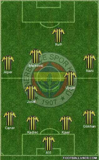 Fenerbahçe SK Formation 2015