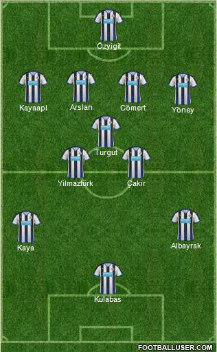Newcastle United Formation 2015