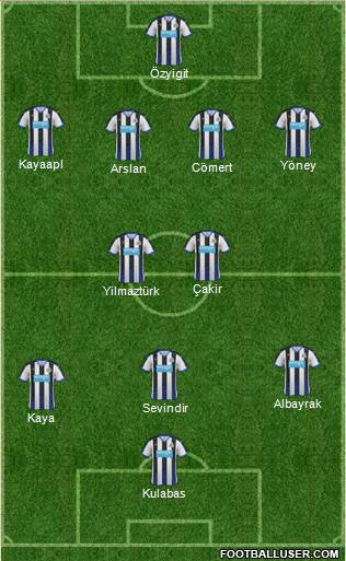 Newcastle United Formation 2015