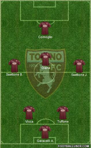 Torino Formation 2015