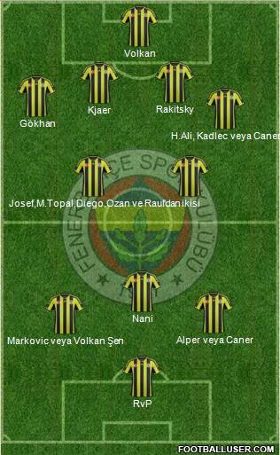 Fenerbahçe SK Formation 2015