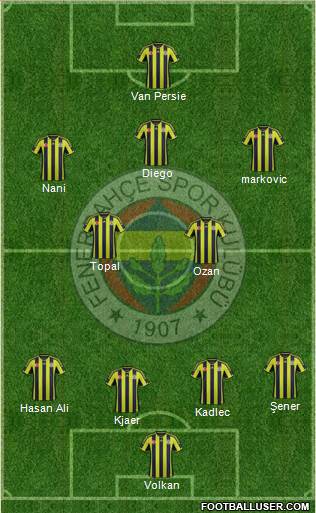 Fenerbahçe SK Formation 2015