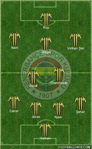 Fenerbahçe SK Formation 2015