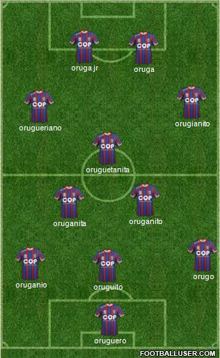 Newcastle Jets Formation 2015