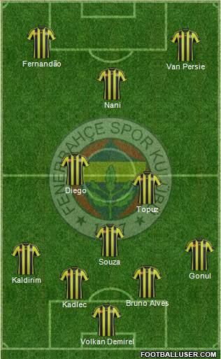 Fenerbahçe SK Formation 2015