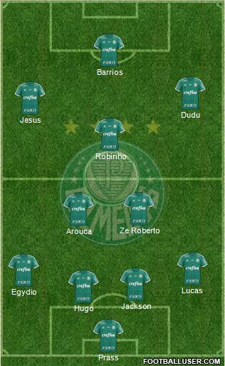 SE Palmeiras Formation 2015